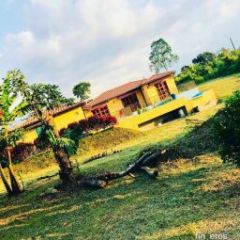 FINCA EL BOSQUE - Montenegro、Quindíoのフィンカ